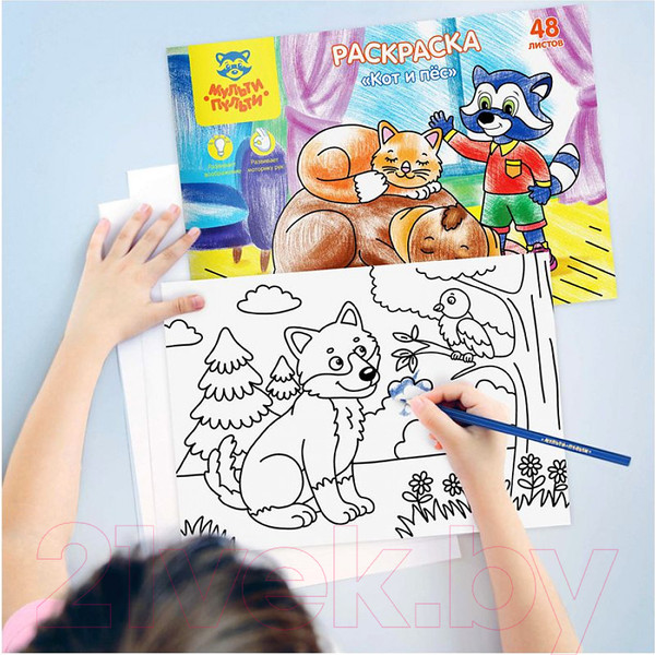 Изображение товара Раскраска Мульти-пульти Кот и пес / РА4п_44747