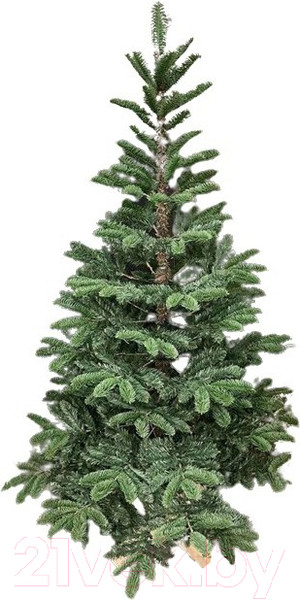 Изображение товара Ель искусственная GrandSiti Аликанте 180 / 110-179