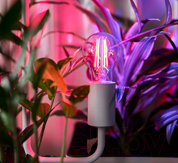 Изображение товара Лампа Rexant 604-146