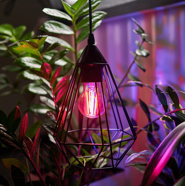 Изображение товара Лампа Rexant 604-146