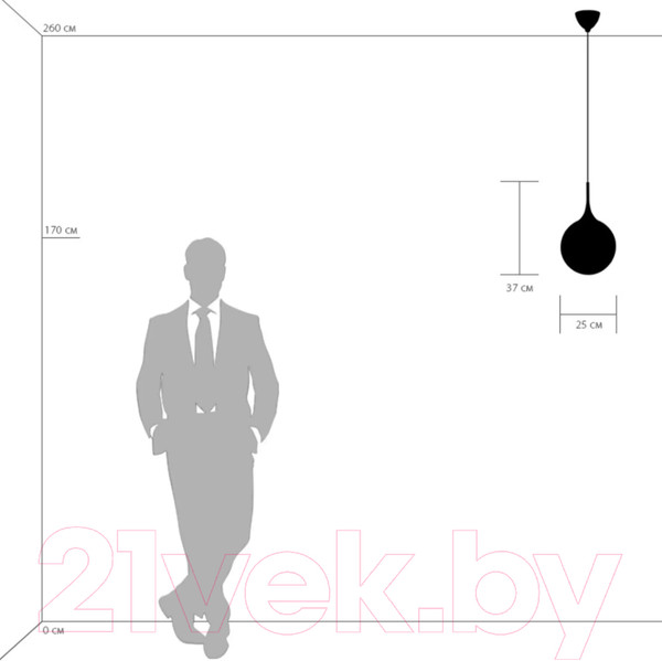 Изображение товара Потолочный светильник Lightstar Globo 813031