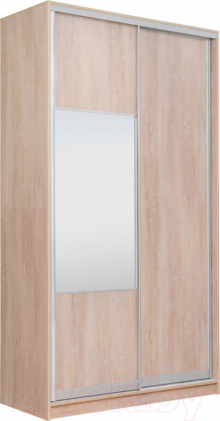 Изображение товара Шкаф-купе Рэйгрупп 138 TTX Elgon РГ-05.05 (дуб торонто/хром)