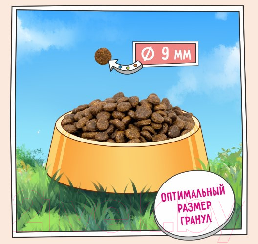 Изображение товара Сухой корм для кошек Zillii Sensitive Digestion Cat белая рыба / 5658161 (2кг)