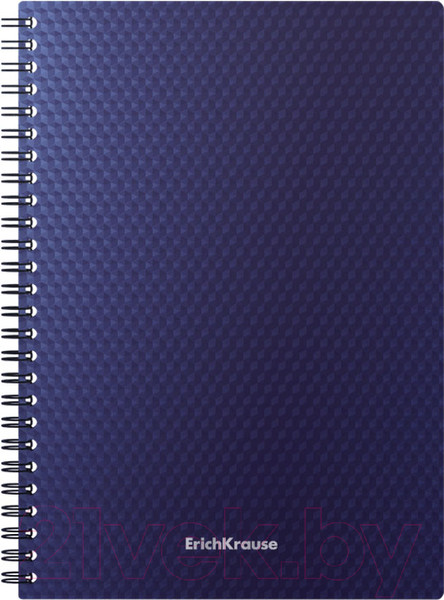 Изображение товара Тетрадь Erich Krause Total Blue А5 / 58551 (80л, клетка)