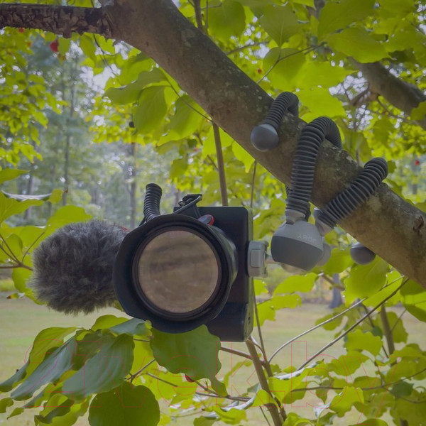 Изображение товара Штатив Joby PodZilla Large Kit / JB01732-BWW