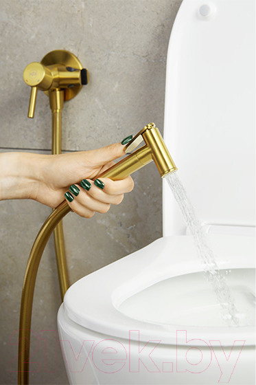 Изображение товара Гигиенический душ со смесителем Armatura Moza 5039-512-31