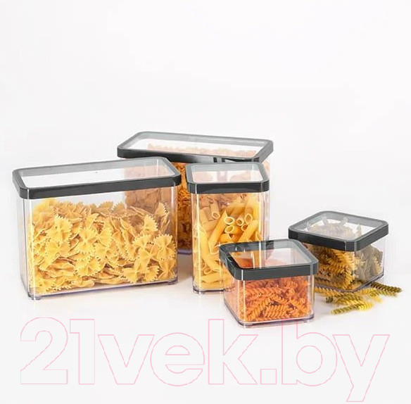 Изображение товара Емкость для хранения Rotho Loft Premium / 1160608080 (прозрачный/черный)