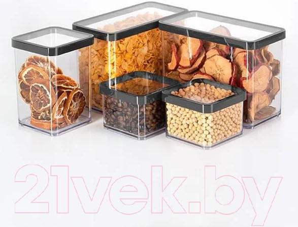 Изображение товара Емкость для хранения Rotho Loft Premium / 1160608080 (прозрачный/черный)