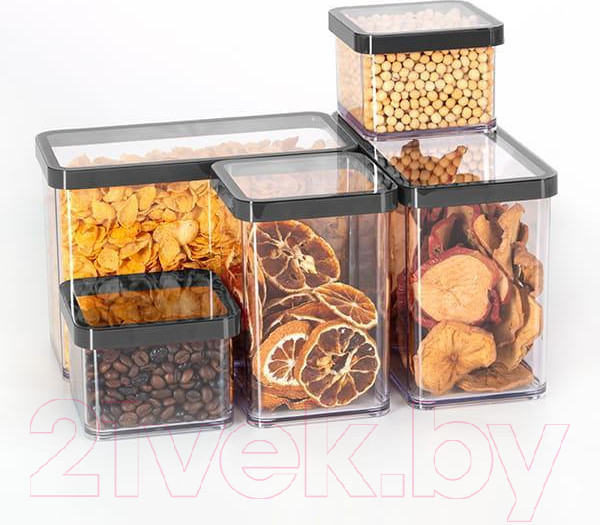 Изображение товара Емкость для хранения Rotho Loft Premium / 1160908080 (прозрачный/черный)