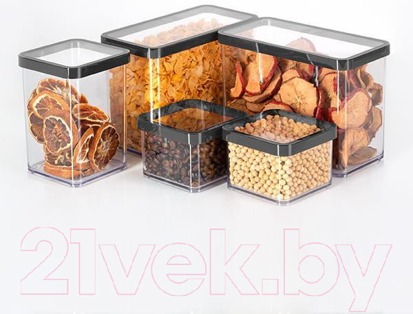 Изображение товара Емкость для хранения Rotho Loft Premium / 1160908080 (прозрачный/черный)