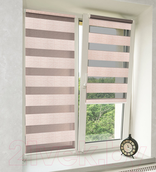 Изображение товара Рулонная штора Delfa Сантайм День-Ночь Роко МКД DN-43053 (68x215, розовый)