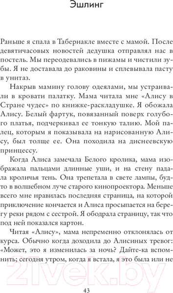 Изображение товара Книга Sindbad Снежинка (Нилон Л.)