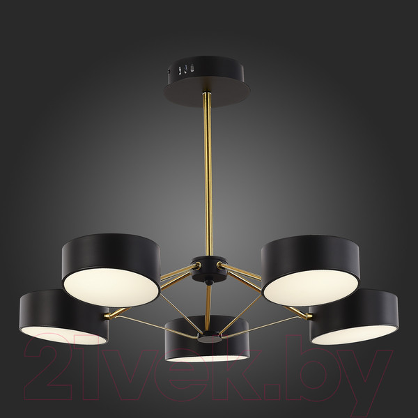 Изображение товара Люстра Evoluce SLE6005-402-05