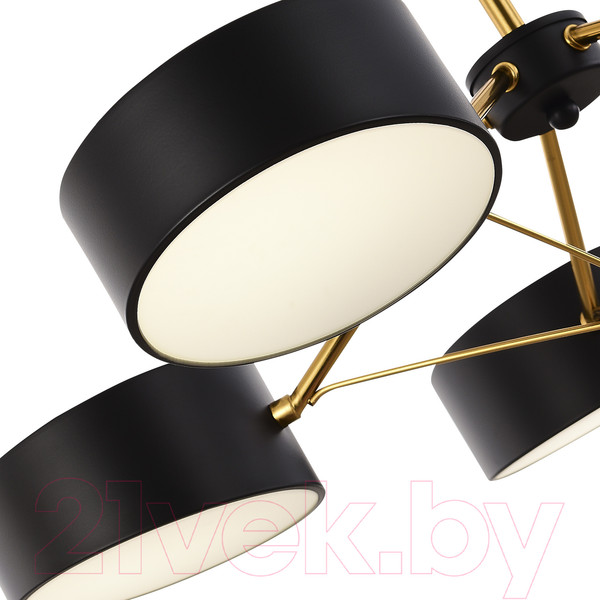 Изображение товара Люстра Evoluce SLE6005-402-05