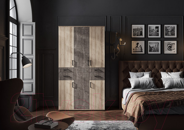 Изображение товара Шкаф Стендмебель Нельсон ШК 02 (железный камень/дуб каньон)