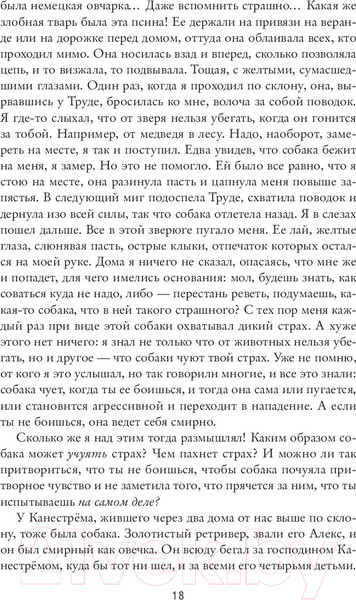 Изображение товара Книга Sindbad Моя борьба. Книга третья. Детство (Кнаусгор К.У.)