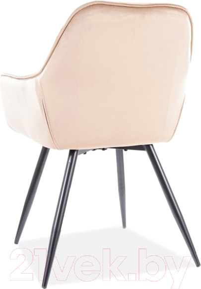 Изображение товара Стул Signal Cherry Velvet (Bluvel 28 бежевый/черный)