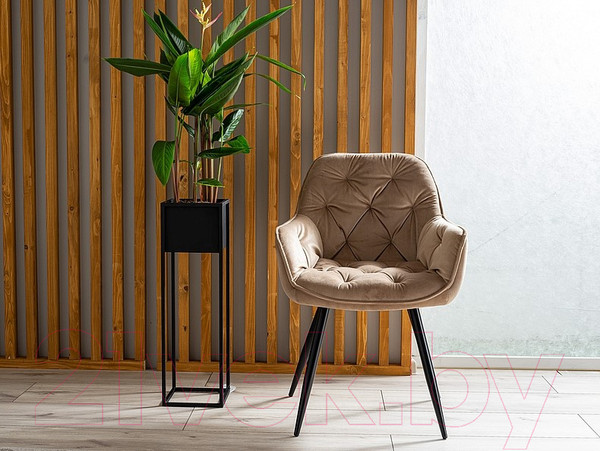 Изображение товара Стул Signal Cherry Velvet (Bluvel 28 бежевый/черный)