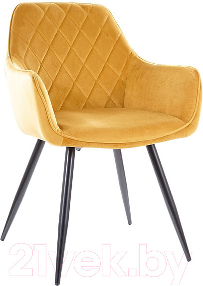 Изображение товара Стул Signal Linea Velvet (Bluvel 68 карри/черный)