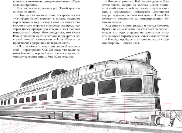 Изображение товара Книга Махаон Похищение в Калифорнийской комете (Леонард М., Сэджман С.)