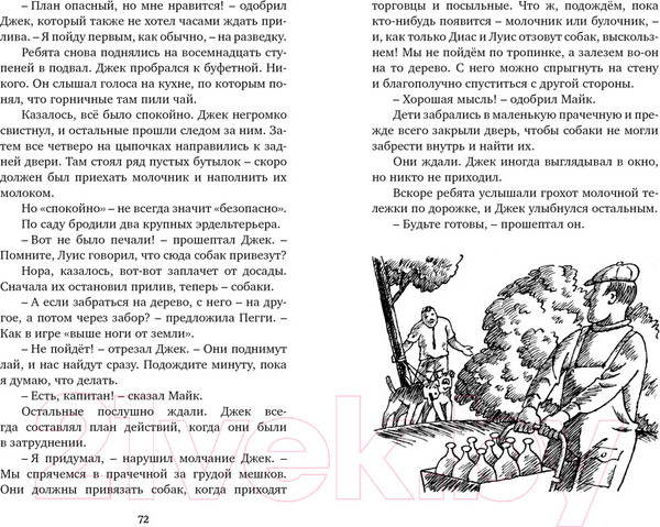 Изображение товара Книга Махаон Тайна старинного грота (Блайтон Э.)