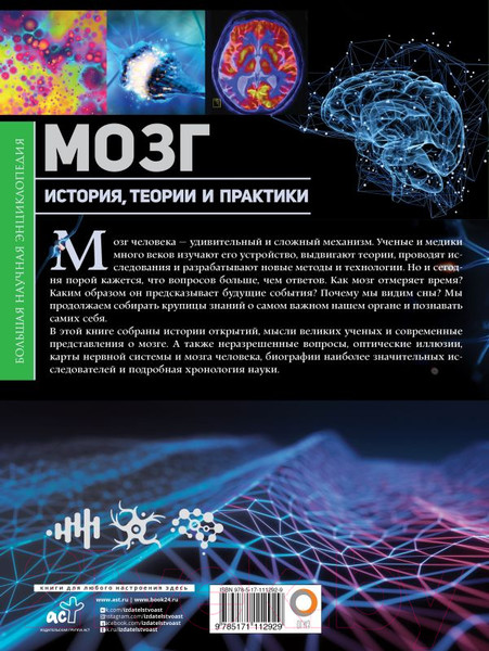 Изображение товара Энциклопедия АСТ Мозг. История, теории и практики (Джексон Т.)