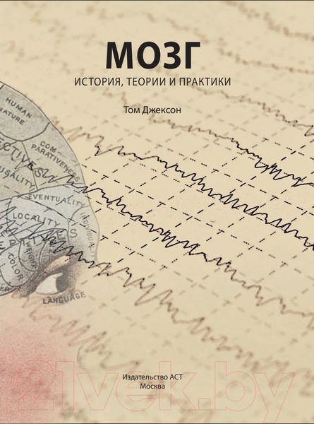 Изображение товара Энциклопедия АСТ Мозг. История, теории и практики (Джексон Т.)