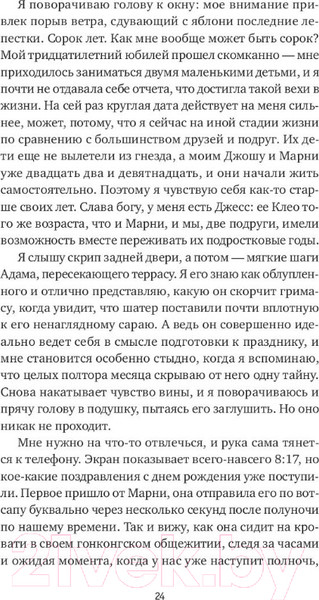 Изображение товара Художественная книга Sindbad Дилемма (Пэрис Б.Э.)