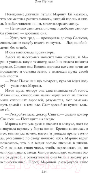 Изображение товара Книга Sindbad Предчувствие чуда (Пэтчетт Э.)