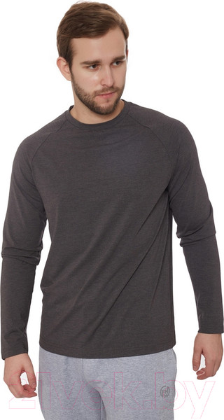 Изображение товара Лонгслив спортивный FHM Wave V2 8614 (4XL, темно-серый)