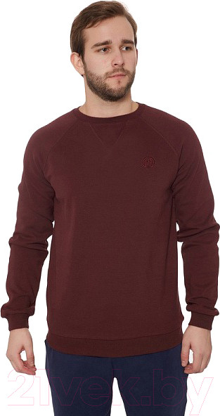 Изображение товара Свитшот FHM Wave TH 372 (3XL, бордовый)