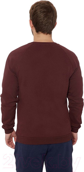 Изображение товара Свитшот FHM Wave TH 373 (4XL, бордовый)