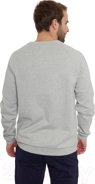 Изображение товара Свитшот FHM Wave TH 382 (4XL, светло-серый)