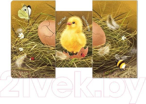 Изображение товара Развивающая книга Робинс Книжки – задвижки. Кто там внутри?