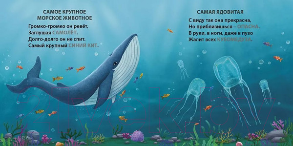 Изображение товара Развивающая книга Робинс Книжки – картонки. Загадки – рифмы. Самые-самые животные (Сосновский Е.)