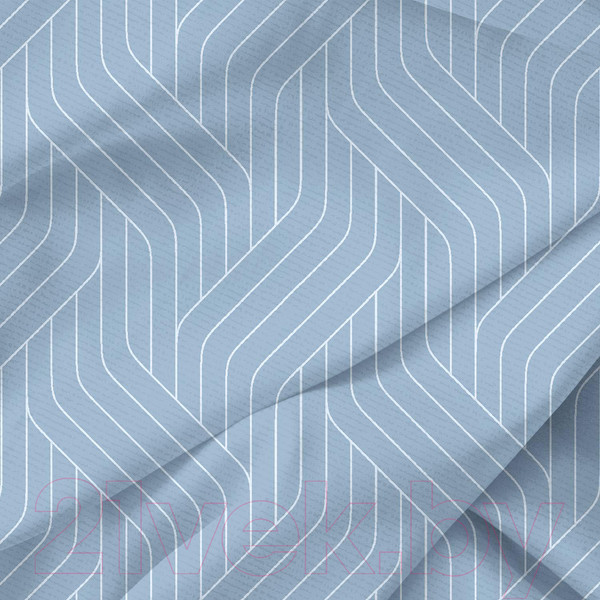 Изображение товара Пододеяльник Самойловский текстиль Хлопок СТ 200x220 8539/1