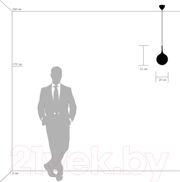 Изображение товара Потолочный светильник Lightstar Globo 813022