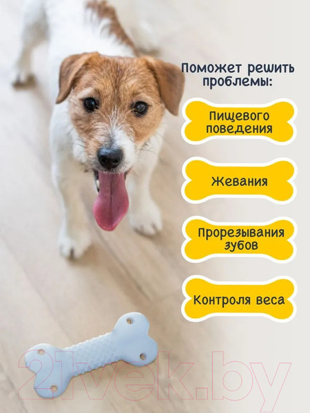 Изображение товара Игрушка для животных Fancy Pets Косточка / FPT1