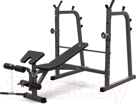 Изображение товара Скамья для жима штанги DFC D709