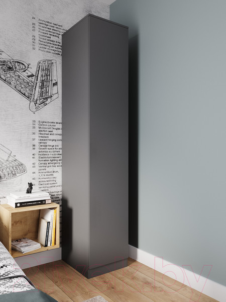 Изображение товара Шкаф ДСВ Мори МШ 400.1 (графит)