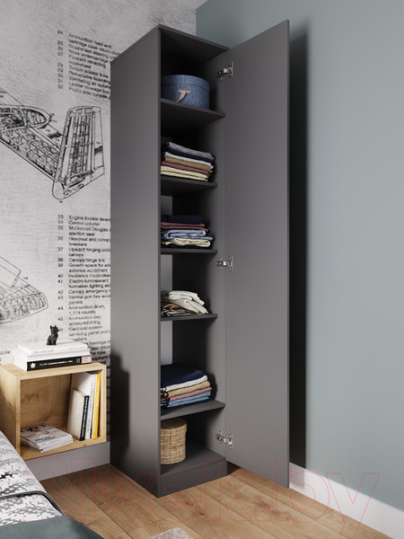 Изображение товара Шкаф ДСВ Мори МШ 400.1 (графит)