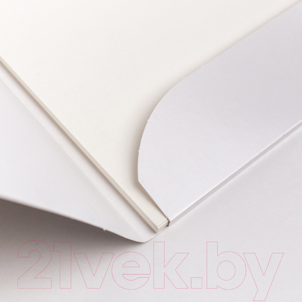 Изображение товара Набор бумаги для рисования Малевичъ 402207