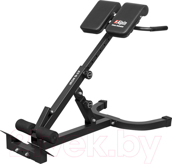 Изображение товара Гиперэкстензия Alpin Iron G-12