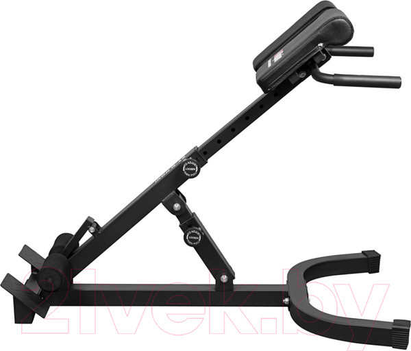 Изображение товара Гиперэкстензия Alpin Iron G-12