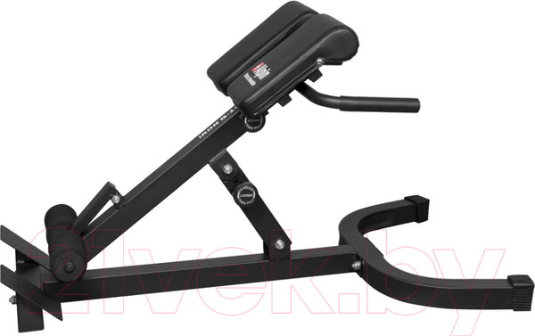 Изображение товара Гиперэкстензия Alpin Iron G-12
