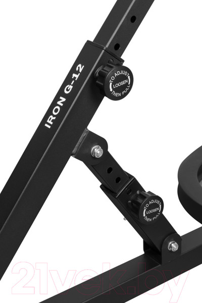 Изображение товара Гиперэкстензия Alpin Iron G-12