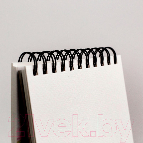 Изображение товара Скетчбук Малевичъ Veronese / 401475 (30л)