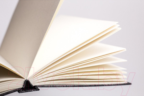 Изображение товара Скетчбук Малевичъ GrafArt Dark Wood / 401209 (80л)