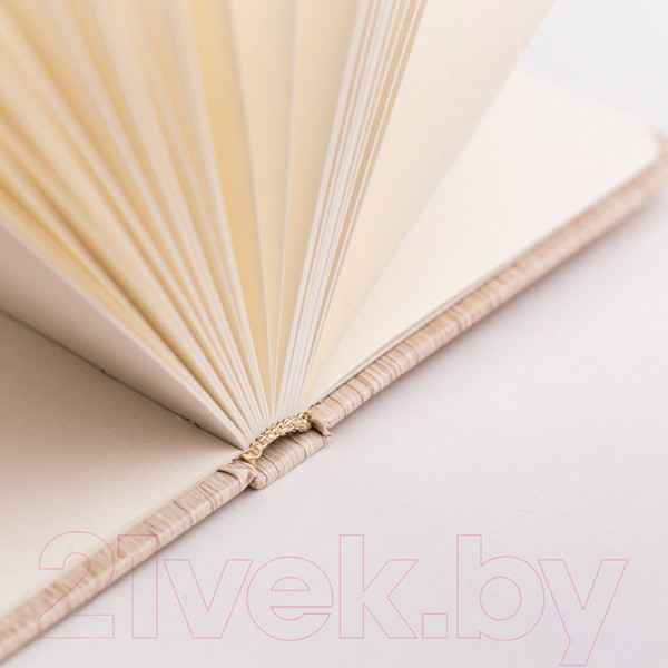 Изображение товара Скетчбук Малевичъ GrafArt Light Wood / 401230 (48л)