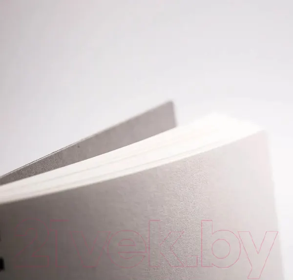 Изображение товара Скетчбук Малевичъ GrafArt / 401210 (80л, коричневый)